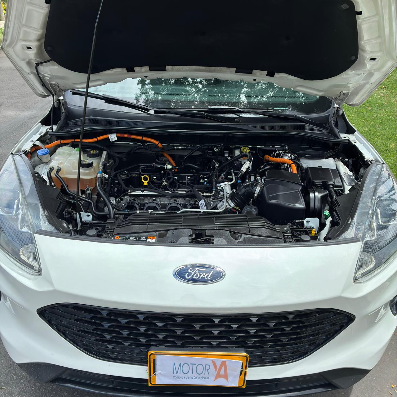 FORD ESCAPE SE HEV 2020 HÍBRIDA - Imagen 9